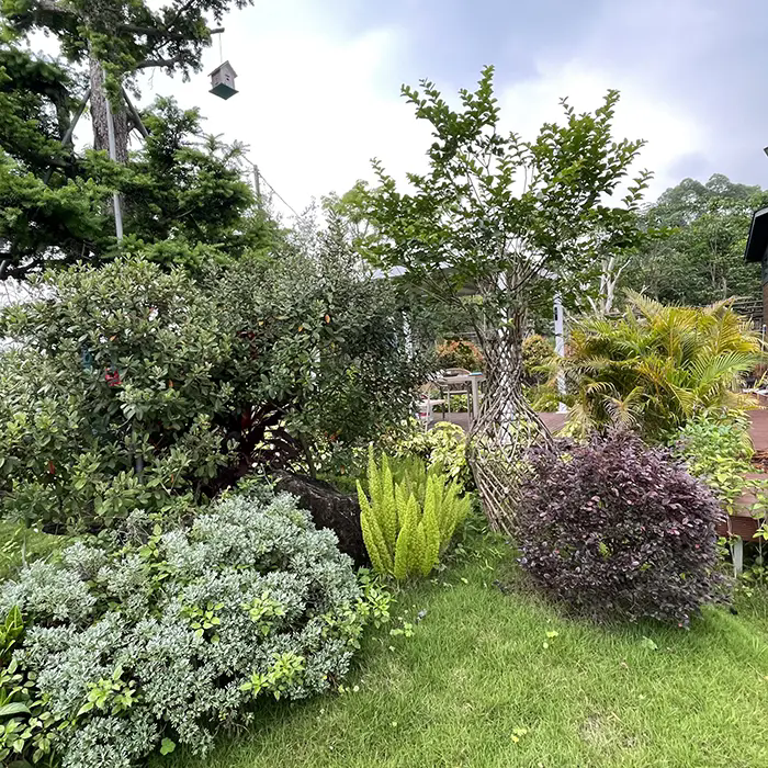 Crape Myrtle သည် ရင်သပ်ရှုမောဖွယ်ကောင်းပြီး ထိန်းသိမ်းမှုနည်းသော ရှုခင်းကို မည်သို့ဖန်တီးသနည်း။ Crape Myrtle သည် ရင်သပ်ရှုမောဖွယ်ကောင်းပြီး ထိန်းသိမ်းမှုနည်းသော ရှုခင်းကို မည်သို့ဖန်တီးသနည်း။