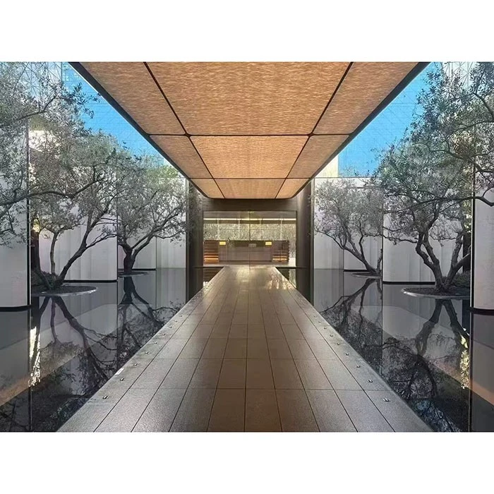 Street Olive Tree